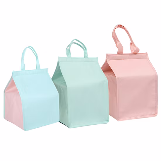 Sac isotherme thermique isolé non tissé personnalisé pour déjeuner, vente en gros en Chine, 6 paquets